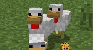 我的世界里面小鸡吃什么,小鸡成长