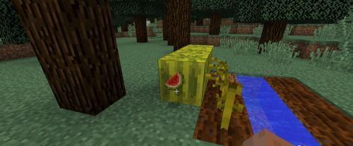 我的世界西瓜要什么用处,西瓜的多