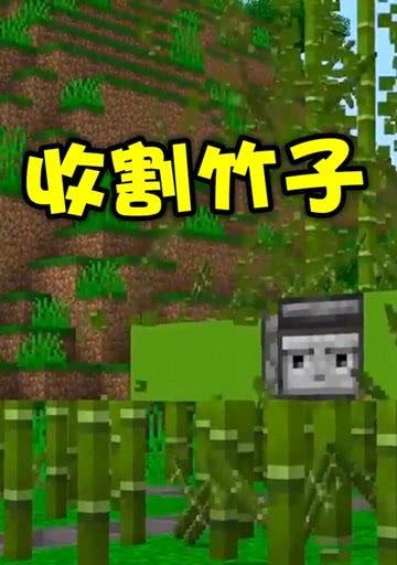我的世界怎么用竹子,在我的世界中