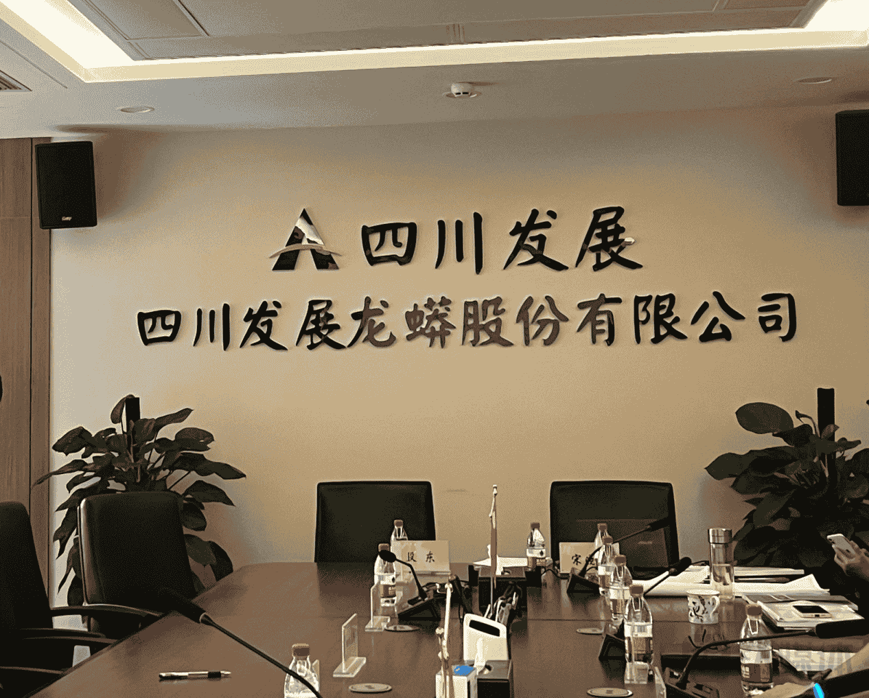 川发龙蟒再布局！2.63亿底价竞得控股股东子公司10%股权