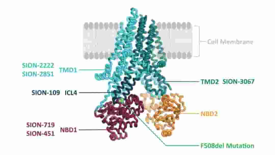 Sionna今晚纳斯达克上市，募资1.9亿美金挑战囊性纤维化治疗巨头Vertex