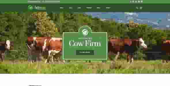 让网站设计更好地展现企业的形象和