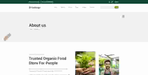 网站建设经验：如何进行网站数据分析与优化