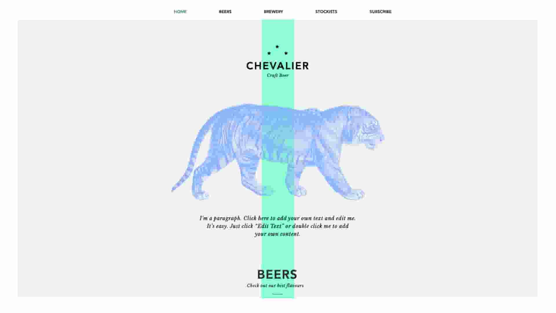 如何选择适合教育机构网站的建设公司？