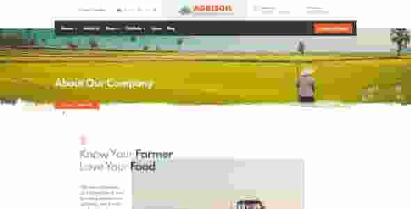 网站建设公司选择中的六个常见问题