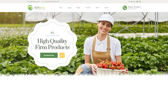 网站建设经验:如何进行网站的反垃圾邮件处理?