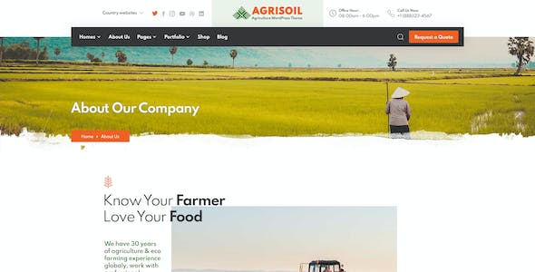 如何选择适合手机端开发的网站建设公司?