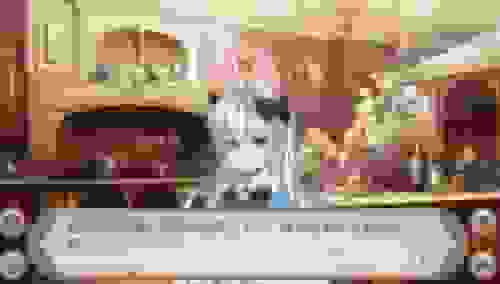 1639371842371291.jpg 2.jpg