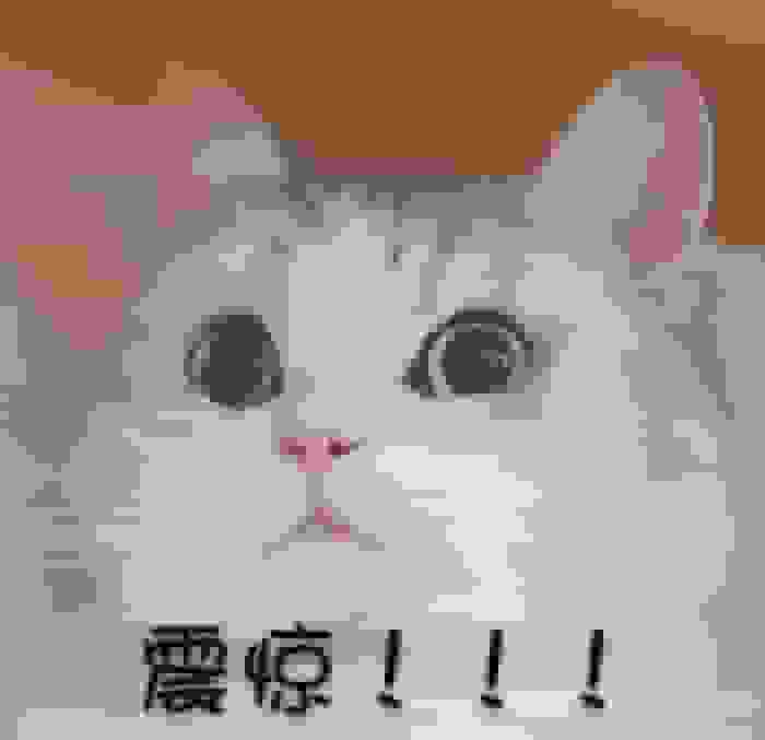 1639106708251546.jpg 1.jpg