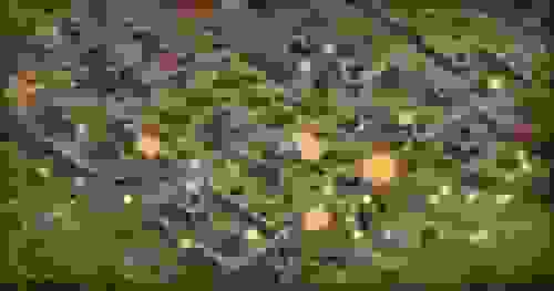 1639018066772555.jpg 2.jpg