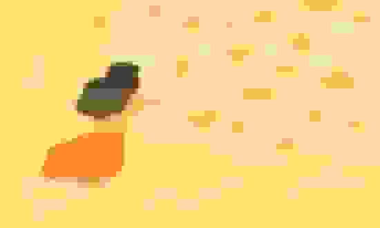 石家庄市职业财会学校2025年招生专业都有哪些