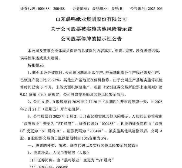 晨鸣纸业停牌“戴帽”，造纸巨头何去