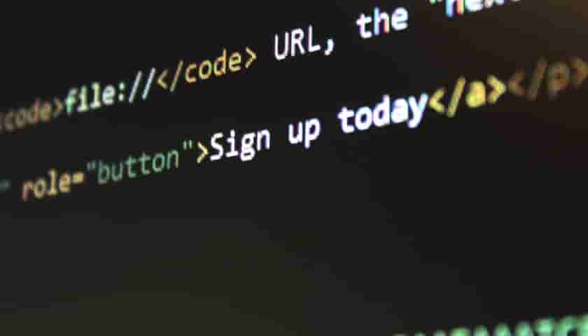 上海派琪网络科技：专业团队为企业精心搭建网站，铸就品牌价值