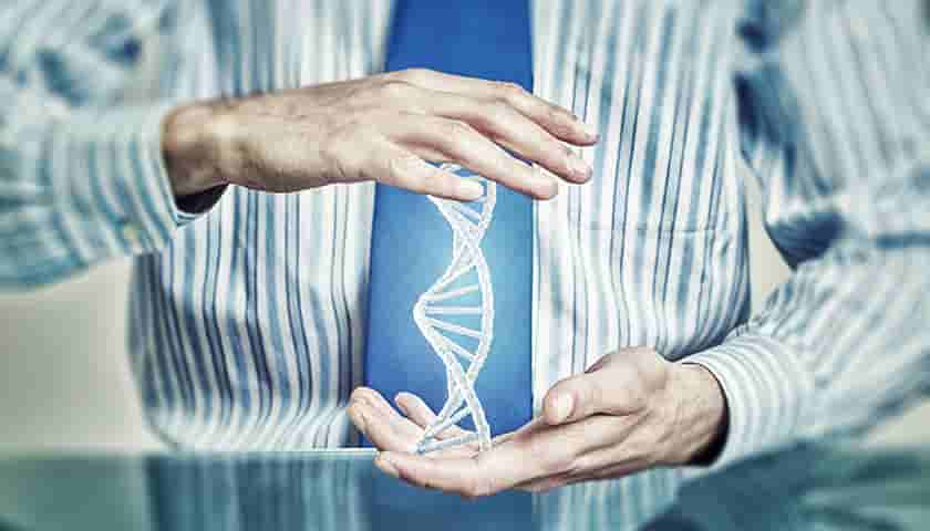 上市企业网站建设