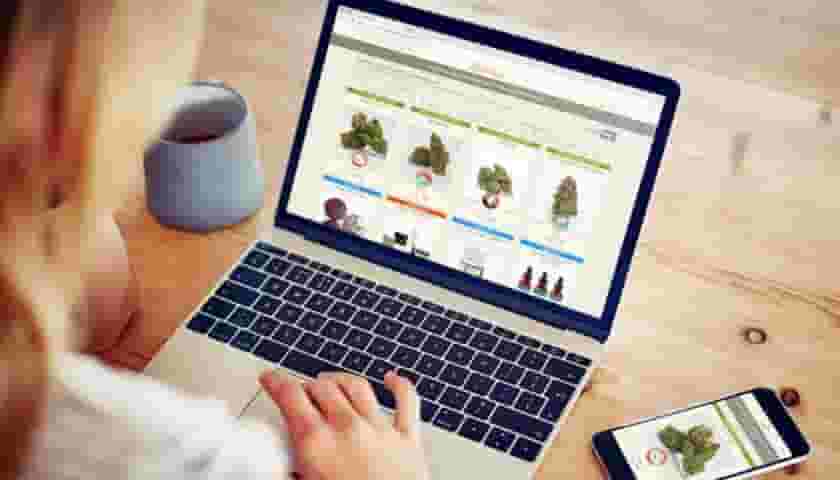 网站设计公司谈什么样的网站设计可