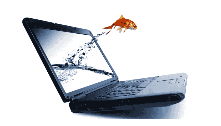 成功的网站建设能给企业带来什么帮助？