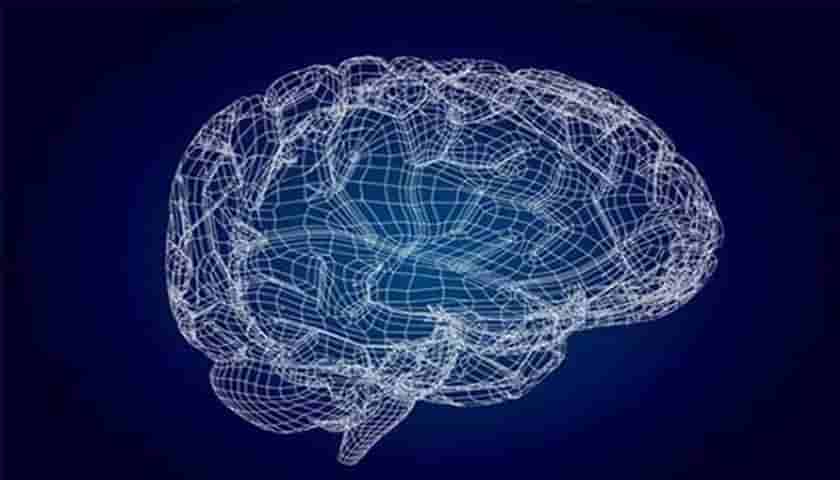 上海<a href=https://www.kengniao.com/e/search/result/?searchid=49 target=_blank class=infotextkey><a href=https://www.kengniao.com/e/search/result/?searchid=51 target=_blank class=infotextkey>网站</a>建设公司</a>