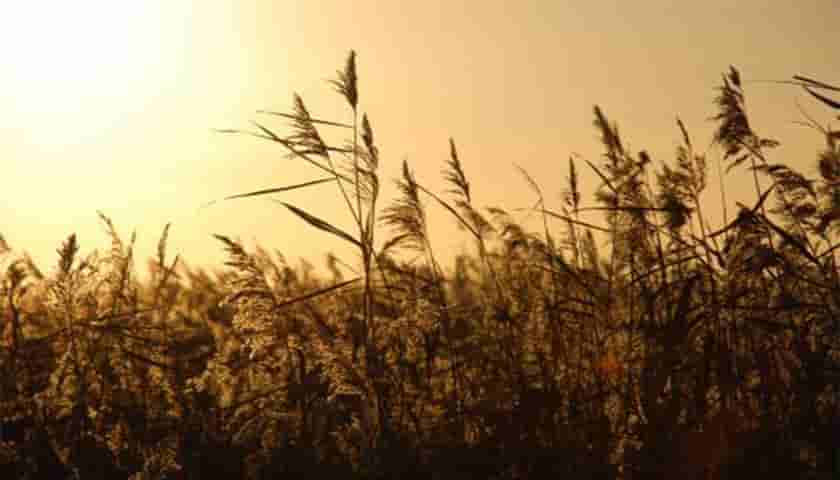 企业建设官网有哪些妙用我们一起来看