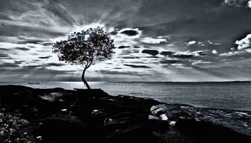 专业网站建设制作是什么以下派琪将