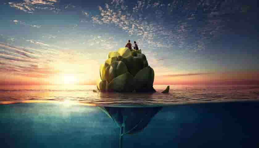 上海网站设计今天来讲述网站设计风格的重点