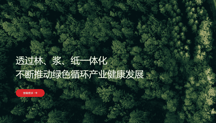 派琪助力清风纸业—金光集团 构建