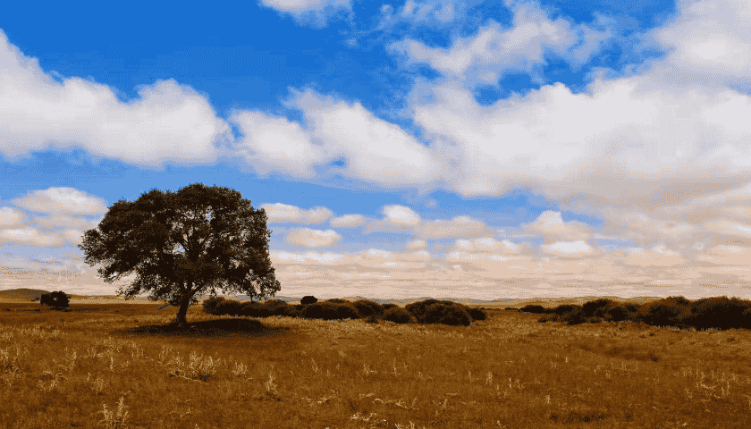 上海网站建设公司今日跟您讲述企业网站建设的重要性