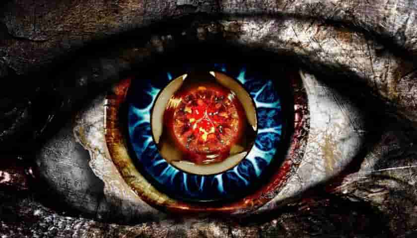 上海网站设计关于文本部分的的隐藏