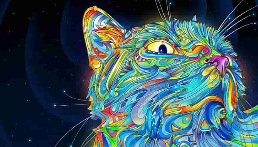 怎样做官网设计才能让用户体验满意