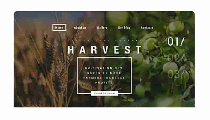 高端网站建设公司为企业“挖掘”潜在客户