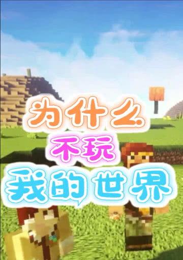 我的世界为什么玩不了,探索我的世