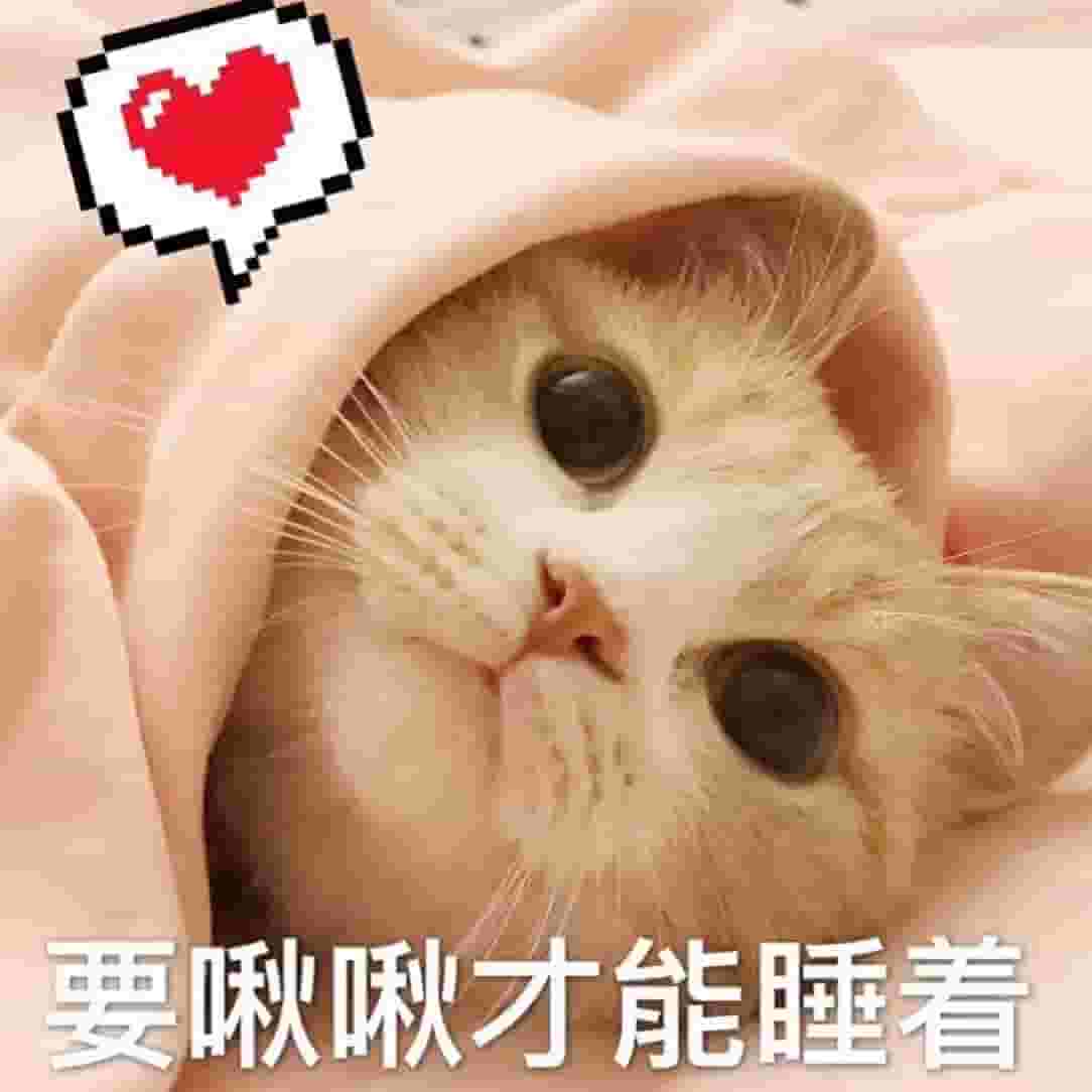 猫咪喜欢睡在你身边，不是因为爱你，而是有这些含义！