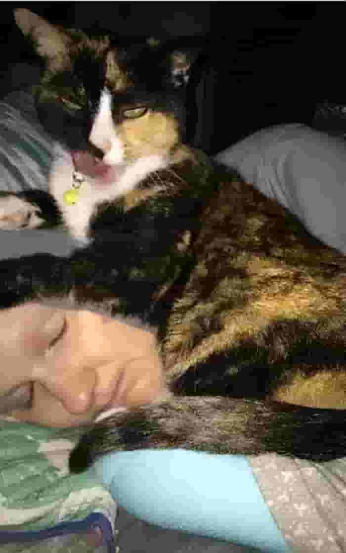 猫咪在你身边睡觉，不只是爱你，还有这些原因