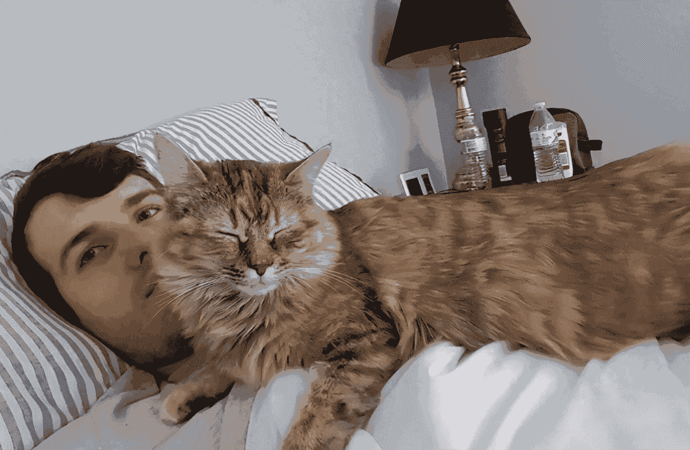 猫咪喜欢睡在你身边，原来是因为你有这几种特点