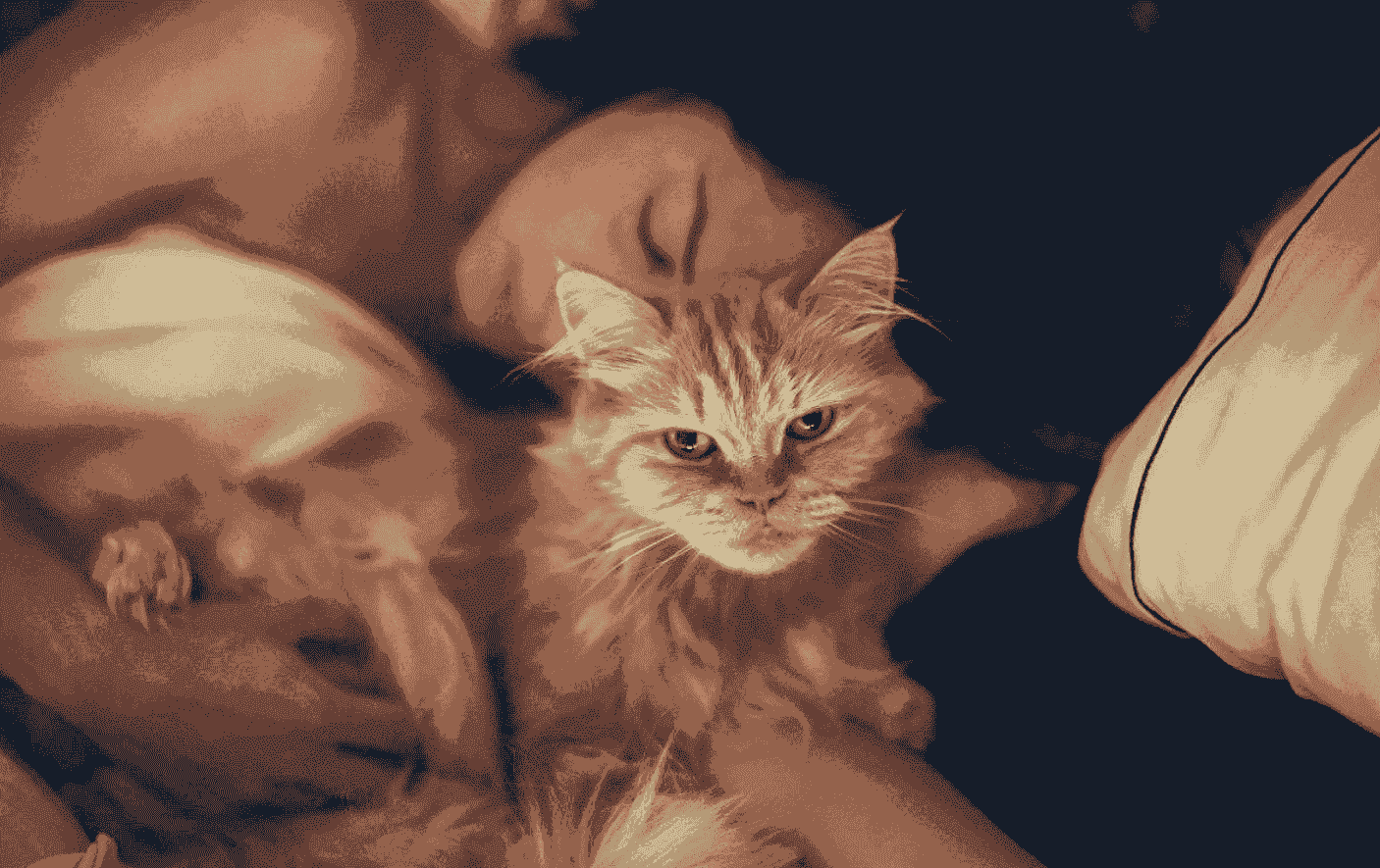 猫咪为什么喜欢“守着”睡觉的主人？原来是这些原因