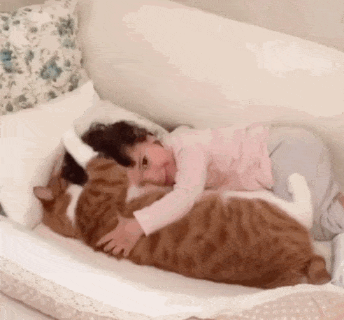 猫咪总爱粘着主人睡，不是表达爱意，而