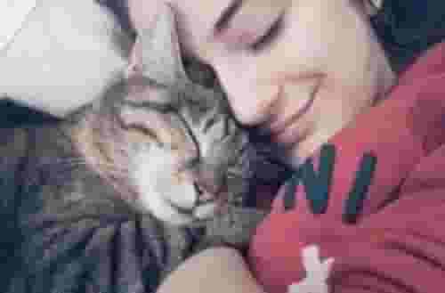 原来猫咪喜欢和主人“睡觉”，竟是有这些原因