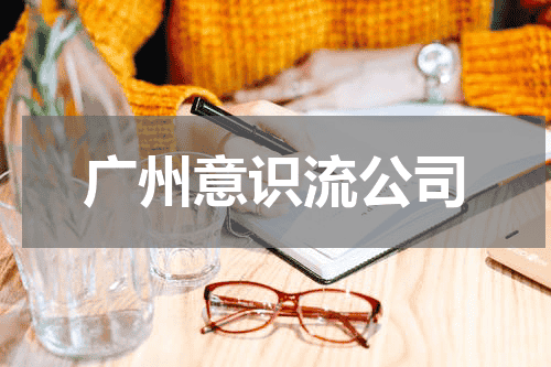 广州意识流公司
