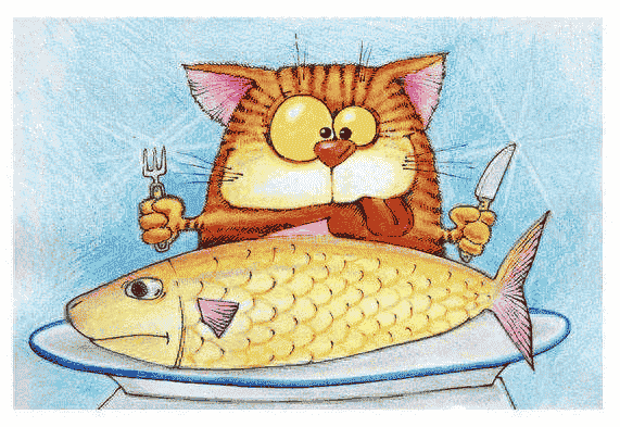 猫吃鱼为什么不会被鱼刺卡到喉咙？