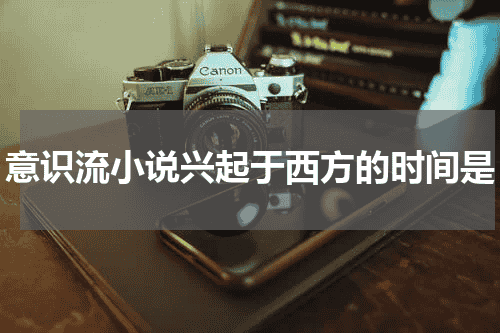意识流小说兴起于西方的时间是