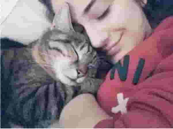 猫在你身边睡是因为喜欢你？很多人理解错了，其中隐含这6个意思