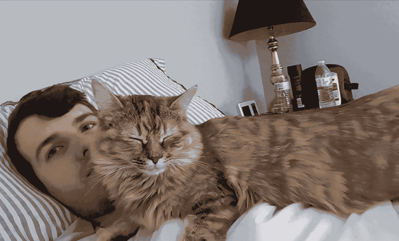 猫咪喜欢“挨着”主人睡，原来是你有这几个特征！