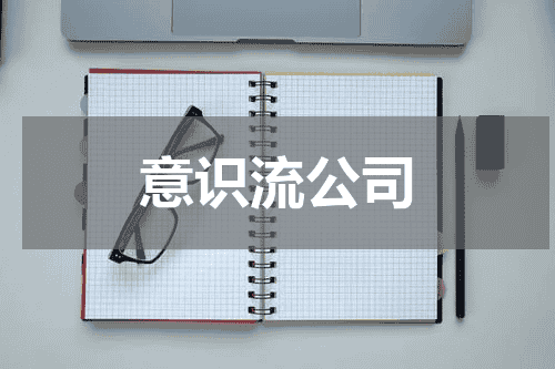 意识流公司