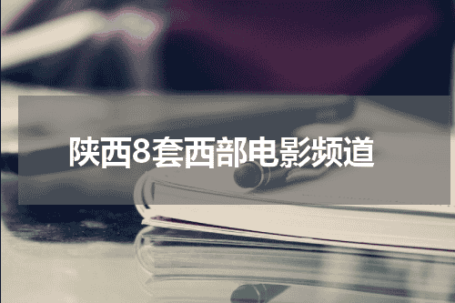 陕西8套西部电影频道