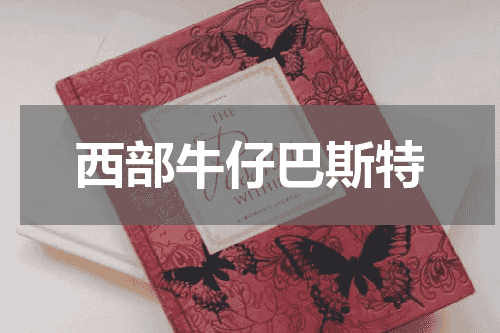 西部牛仔巴斯特