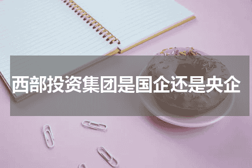 西部投资集团是国企还是央企