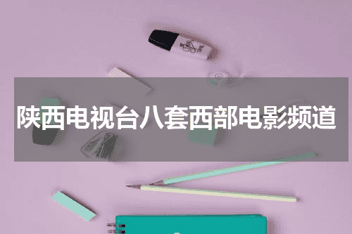 陕西电视台八套西部电影频道