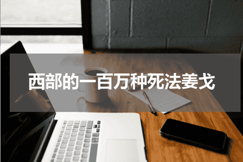 西部的一百万种死法姜戈