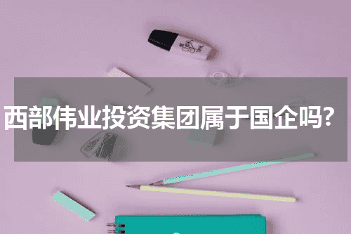 西部伟业投资集团属于国企吗?