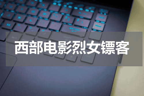 西部电影烈女镖客