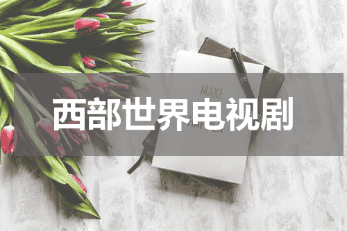 西部世界电视剧